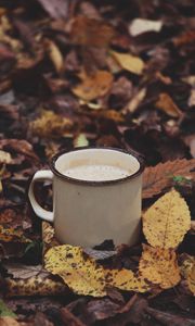 Preview wallpaper mug, coffee, leaves, drink