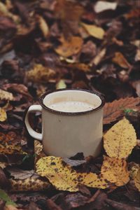 Preview wallpaper mug, coffee, leaves, drink