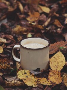 Preview wallpaper mug, coffee, leaves, drink