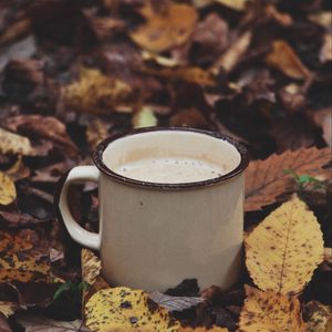 Preview wallpaper mug, coffee, leaves, drink