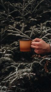Preview wallpaper mug, hand, spruce, branches, snow