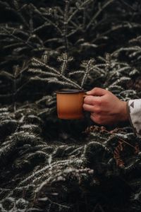 Preview wallpaper mug, hand, spruce, branches, snow