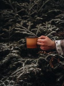 Preview wallpaper mug, hand, spruce, branches, snow