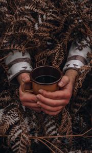 Preview wallpaper mug, hands, fern, snow