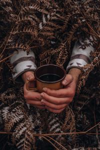 Preview wallpaper mug, hands, fern, snow