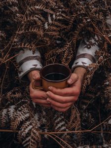 Preview wallpaper mug, hands, fern, snow