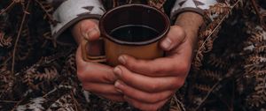 Preview wallpaper mug, hands, fern, snow