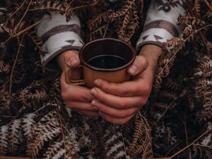 Preview wallpaper mug, hands, fern, snow