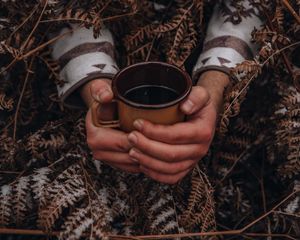 Preview wallpaper mug, hands, fern, snow