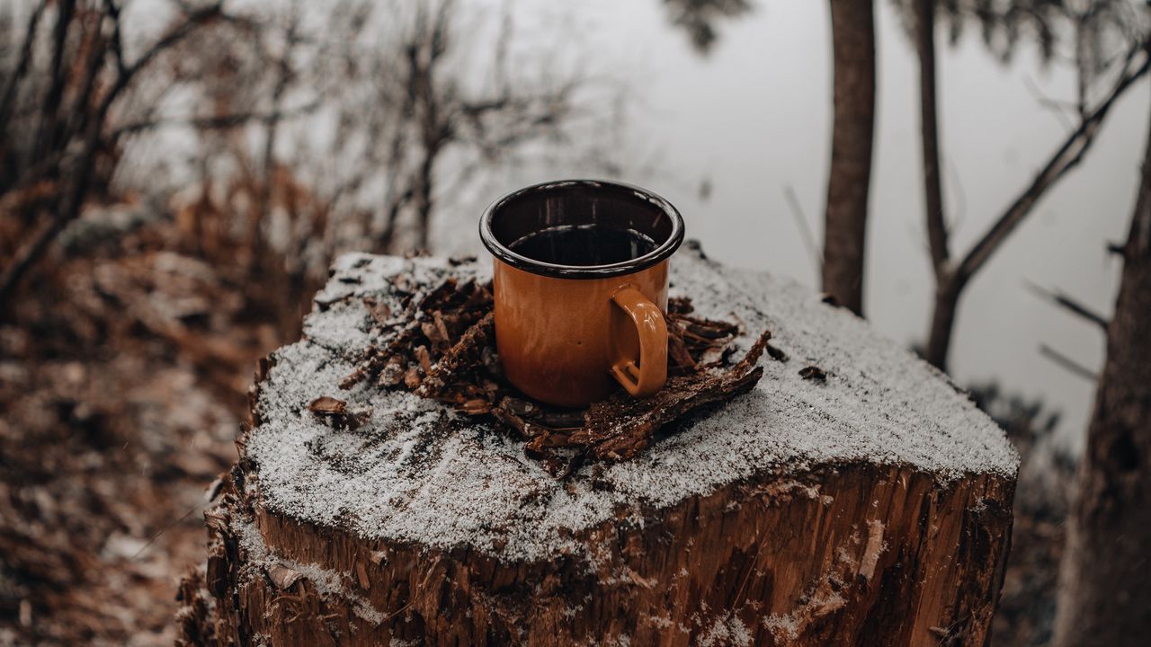 Wallpaper mug, tree stump, snow, nature