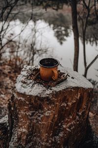 Preview wallpaper mug, tree stump, snow, nature