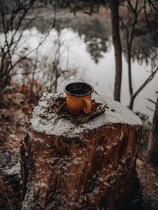 Preview wallpaper mug, tree stump, snow, nature