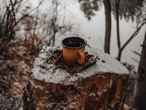 Preview wallpaper mug, tree stump, snow, nature