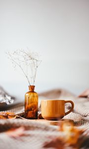 Preview wallpaper mug, vase, branch, bouquet, brown