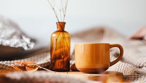 Preview wallpaper mug, vase, branch, bouquet, brown