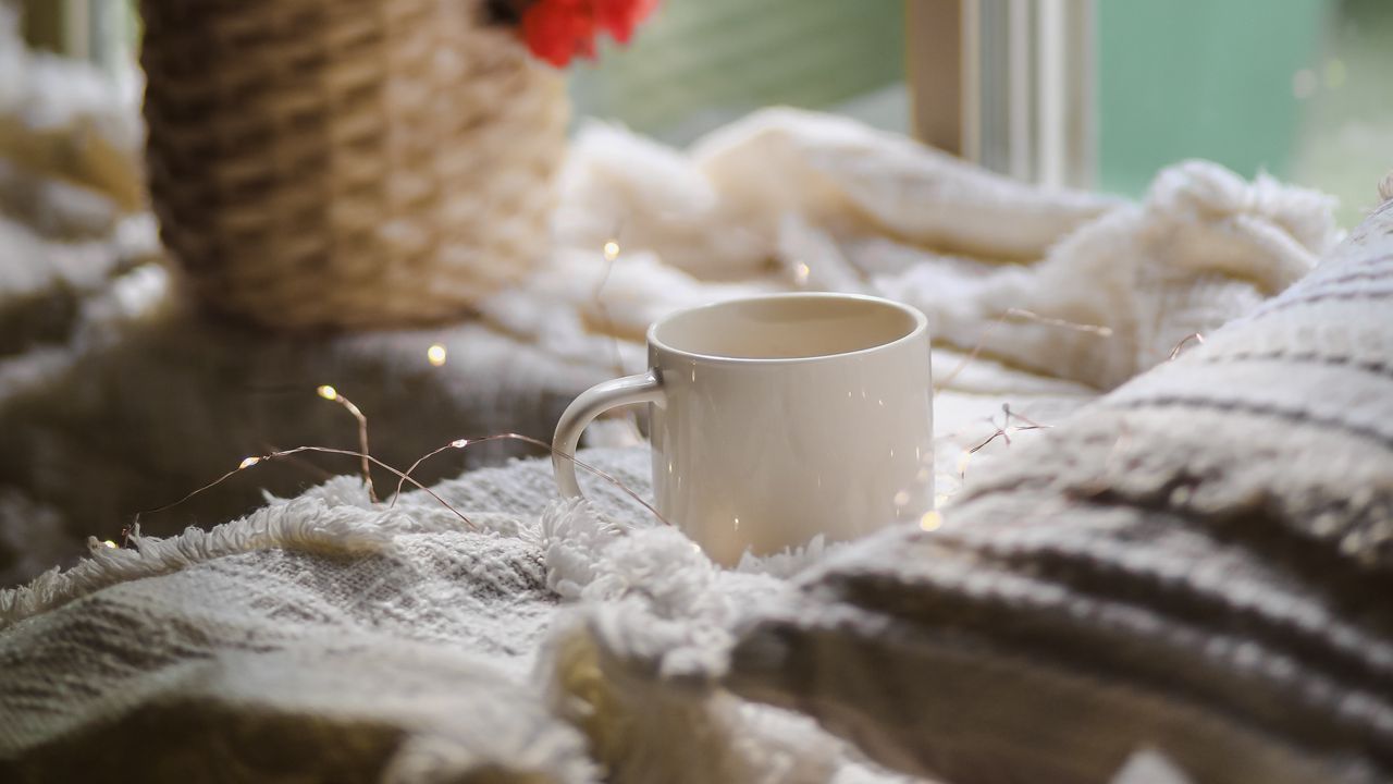 Wallpaper mug, window, garland, flower