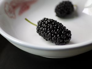 Preview wallpaper mulberry, berries, dish