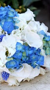 Preview wallpaper muscari, hydrangea, flower, flowers