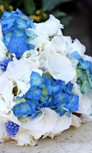 Preview wallpaper muscari, hydrangea, flower, flowers