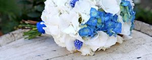 Preview wallpaper muscari, hydrangea, flower, flowers