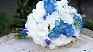 Preview wallpaper muscari, hydrangea, flower, flowers