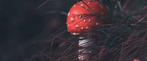 Preview wallpaper mushroom, fly agaric, grass, blur