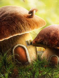 Preview wallpaper mushroom, house, door, art