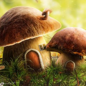 Preview wallpaper mushroom, house, door, art