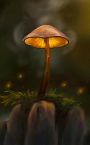 Preview wallpaper mushroom, particles, grass, art