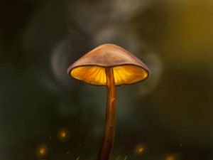 Preview wallpaper mushroom, particles, grass, art