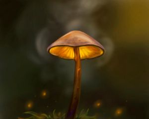 Preview wallpaper mushroom, particles, grass, art