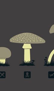 Preview wallpaper mushrooms, drawing, kind