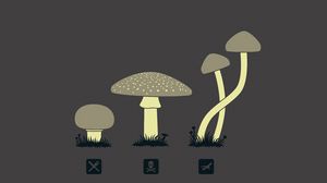 Preview wallpaper mushrooms, drawing, kind