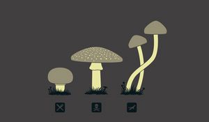 Preview wallpaper mushrooms, drawing, kind