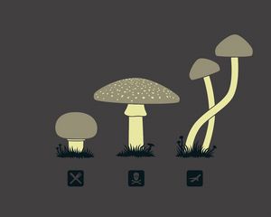 Preview wallpaper mushrooms, drawing, kind