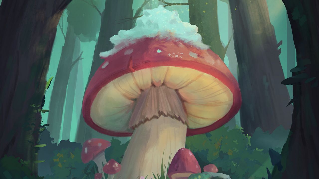 Wallpaper mushrooms, forest, fairy tale, art