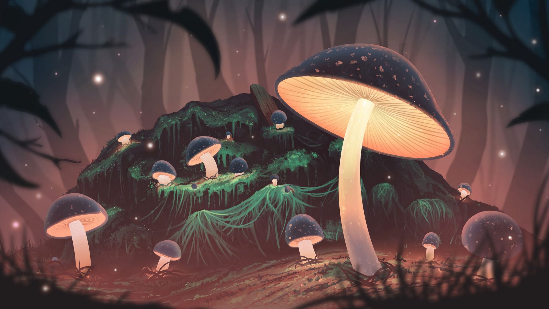 Nature Mushroom Wallpaper