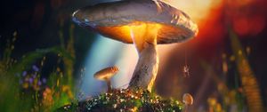 Preview wallpaper mushrooms, spider, macro, glow, 3d
