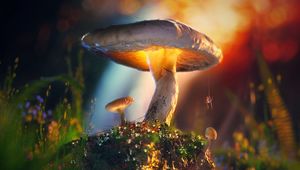 Preview wallpaper mushrooms, spider, macro, glow, 3d