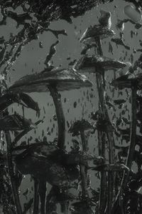 Preview wallpaper mushrooms, spray, black, 3d, art
