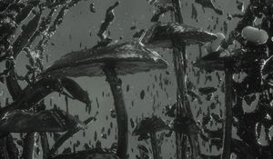 Preview wallpaper mushrooms, spray, black, 3d, art