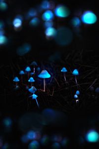 Preview wallpaper mushrooms, toadstools, glow, photoshop