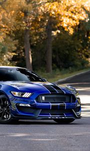Preview wallpaper mustang shelby, mustang, car, muscle car, blue, road