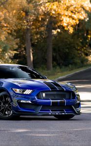 Preview wallpaper mustang shelby, mustang, car, muscle car, blue, road