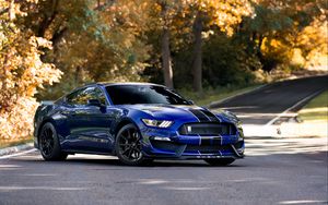 Preview wallpaper mustang shelby, mustang, car, muscle car, blue, road