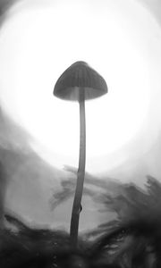 Preview wallpaper mycena, mushroom, black and white, macro, blur