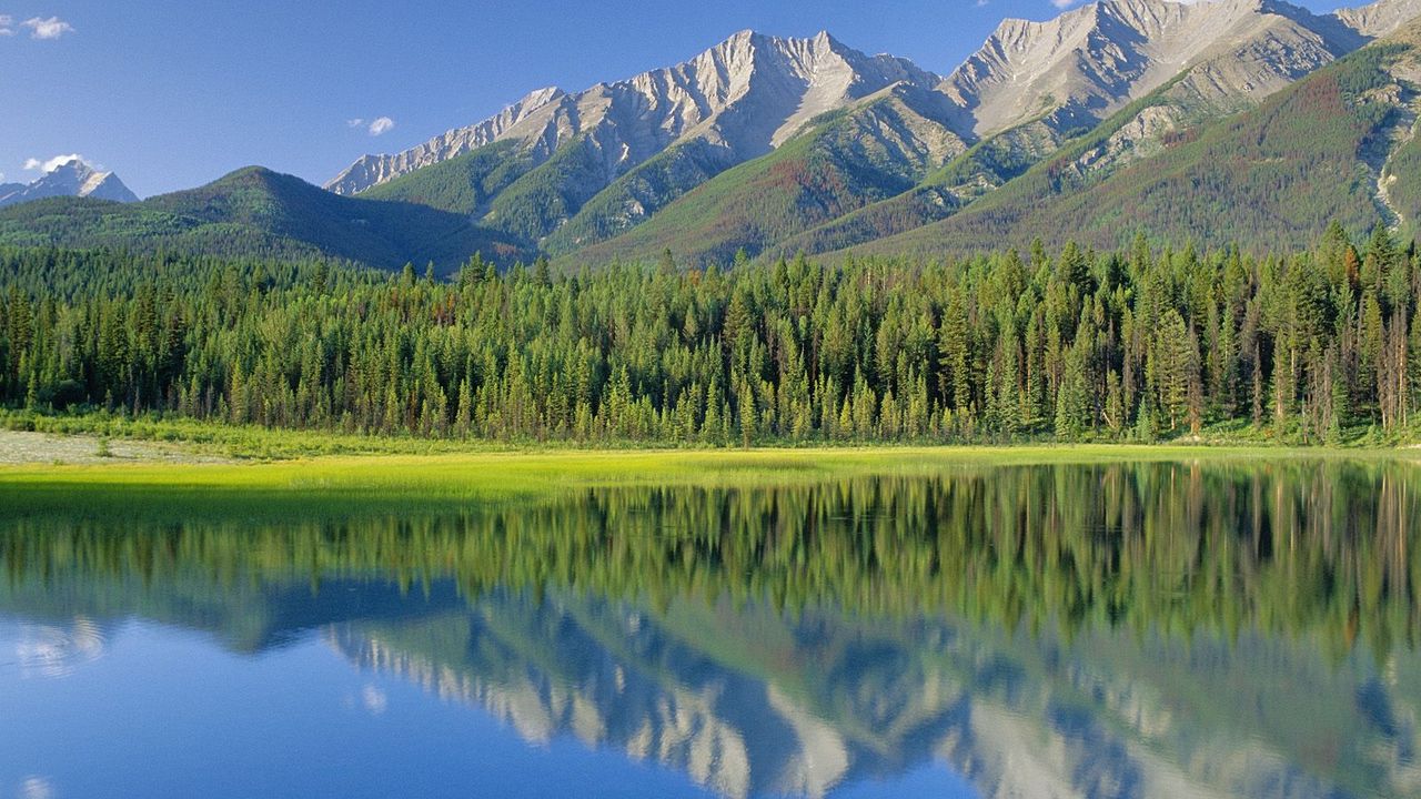 Wallpaper national park, canada, british columbia, mountains, trees, dog lake