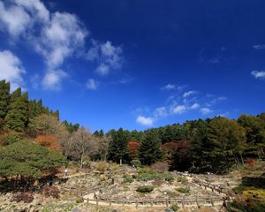 Preview wallpaper nature, autumn, sky, trees