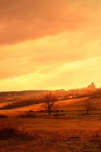 Preview wallpaper nature, field, autumn, summer