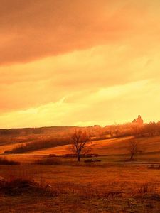 Preview wallpaper nature, field, autumn, summer